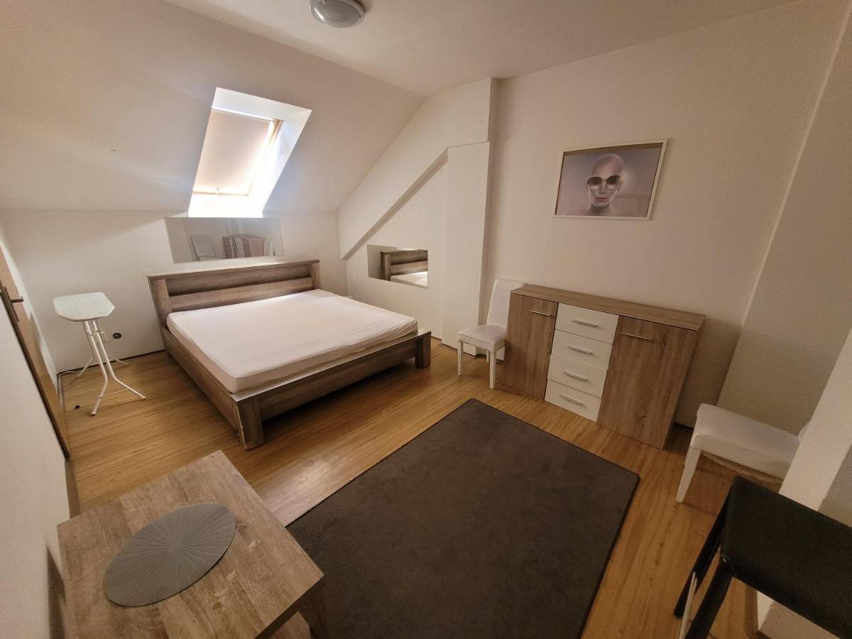 Apartmán Zizkov B *